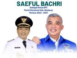 saeful bachri