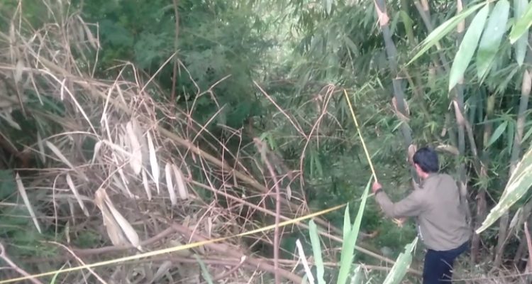 Sekdes Sirnagalih dan juru ukur, turun ke jurang mengukur tanah