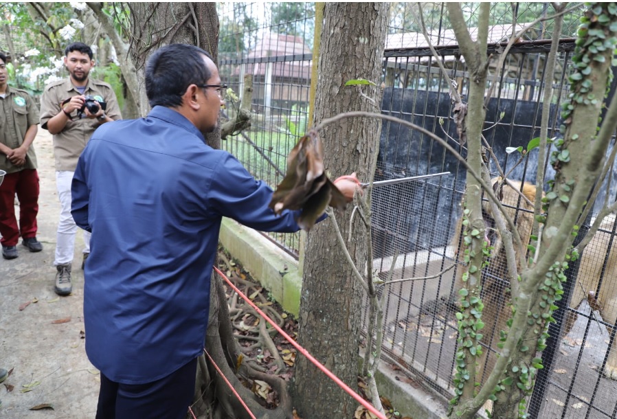 Wakil Bupati Garut Helmi Budiman meninjau Taman Satwa Cikembulan