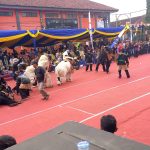 Sejumlah ragam seni budaya ditampilkan Dewan Kesenian Garut (DKG) untuk memeriahkan Hari Jadi Garut Sejumlah ragam seni budaya ditampilkan Dewan Kesenian Garut (DKG) untuk memeriahkan Hari Jadi Garut