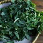 Daun katuk memiliki banyak manfaat untuk kesehatan (foto shutterstock) Daun katuk memiliki banyak manfaat untuk kesehatan (foto shutterstock)