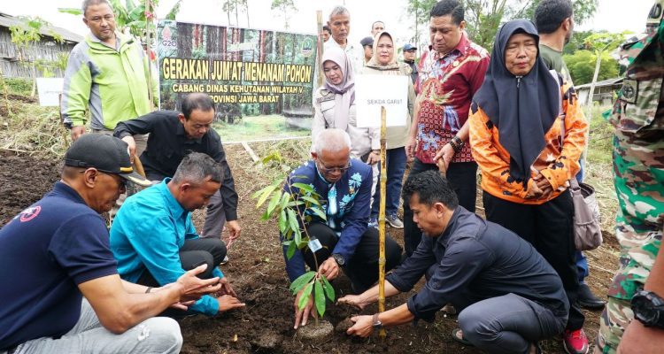 Sekda Nurdin Yana bersama tamu undangan lainnya menanama pohon, di acara memperingati hari lingkungan hidup sedunia Sekda Nurdin Yana bersama tamu undangan lainnya menanama pohon, di acara memperingati hari lingkungan hidup sedunia