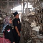 Ibu Ani Saat Menghadiri Acara Pelatihan Budidaya Jamur Ibu Ani Saat Menghadiri Acara Pelatihan Budidaya Jamur