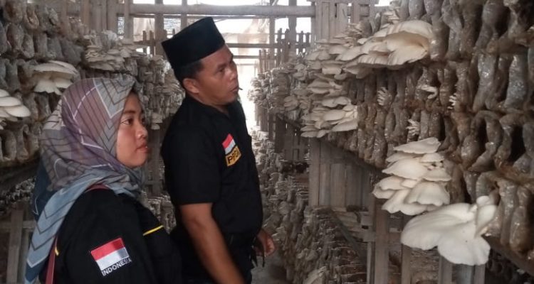 Ibu Ani Saat Menghadiri Acara Pelatihan Budidaya Jamur Ibu Ani Saat Menghadiri Acara Pelatihan Budidaya Jamur