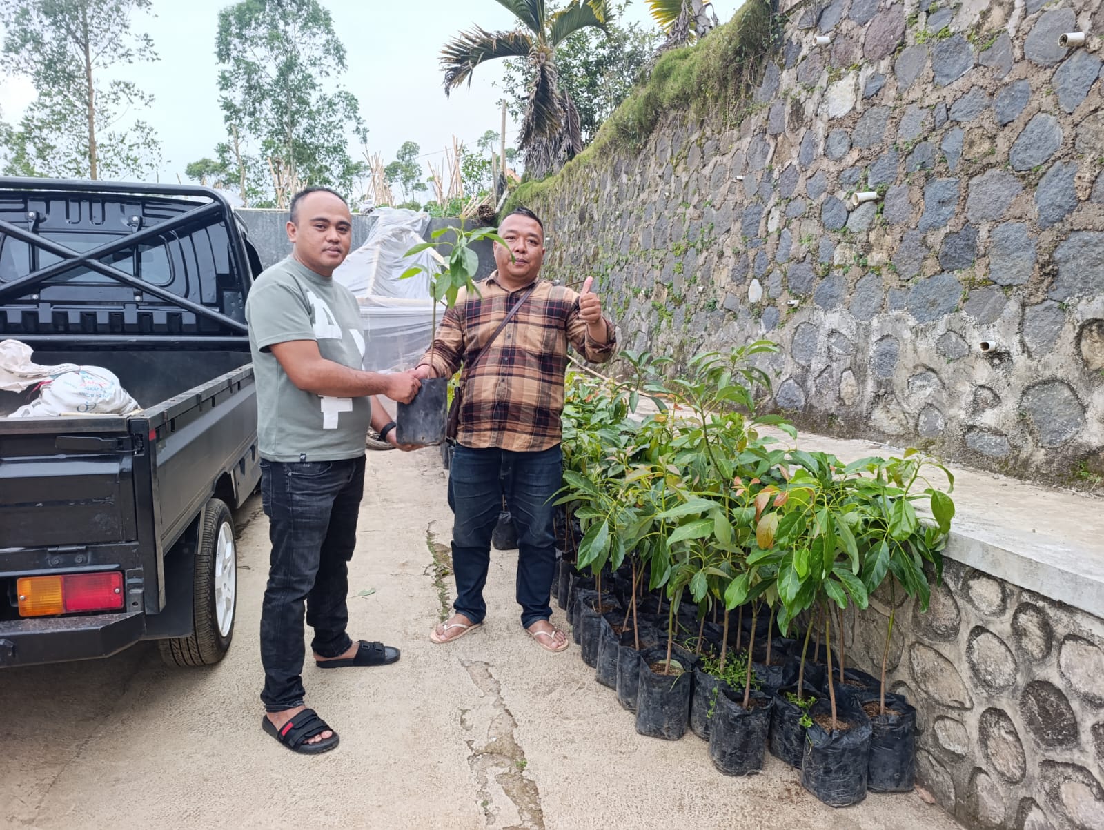 Anggota DPRD Garut Suprih Rozikin, SH, MH (kiri) menerima distribusi bibit alpukat dari Khadizarah Bibit
